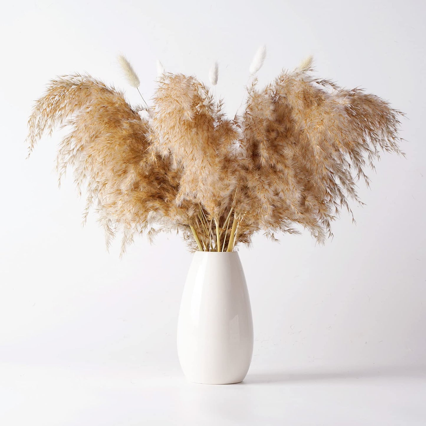 Pampas