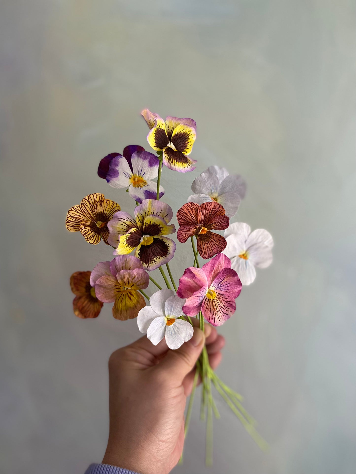 Pansy