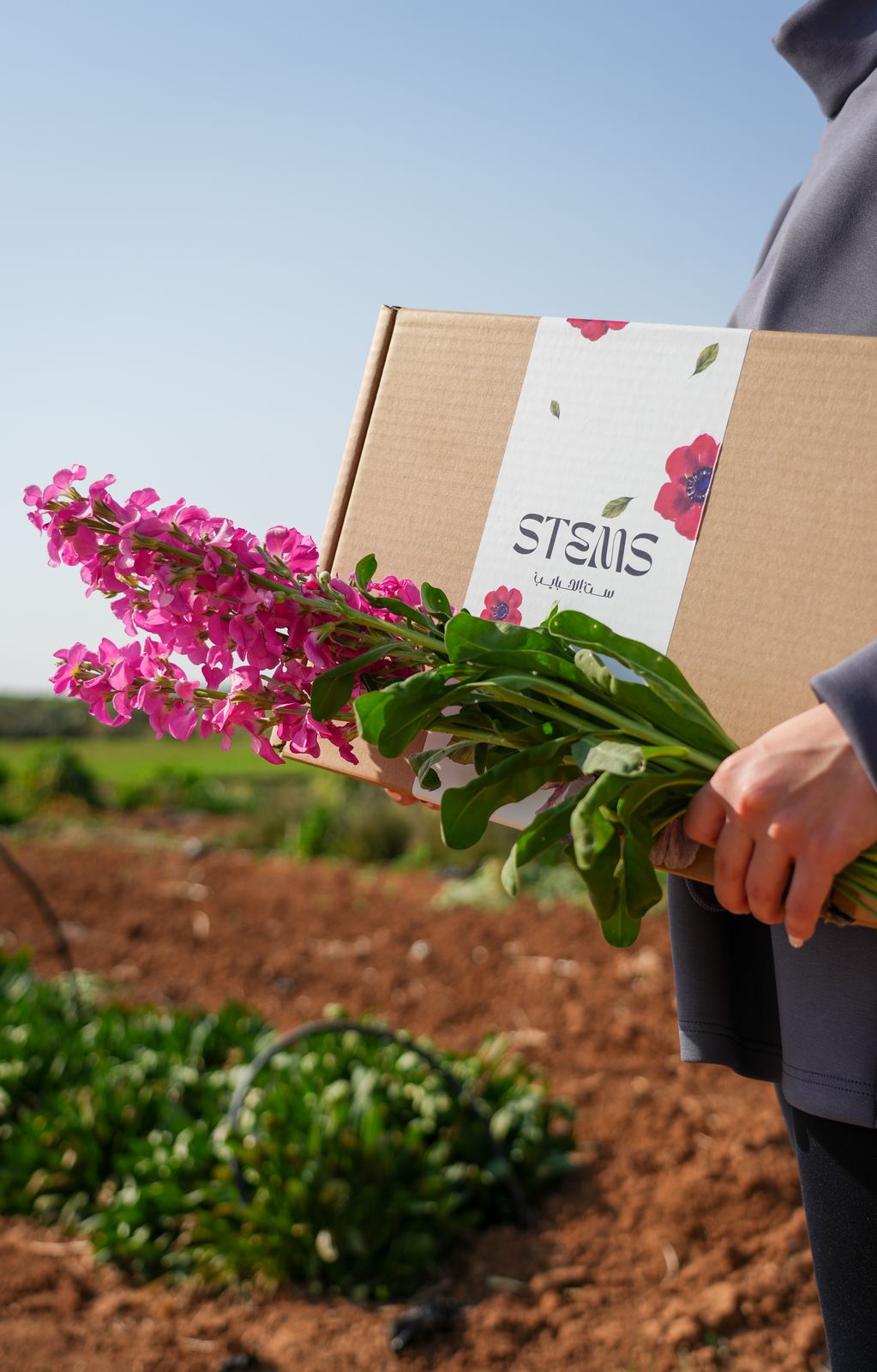Mother’s Day Blooming Gift Set