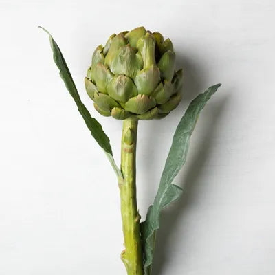 Artichoke