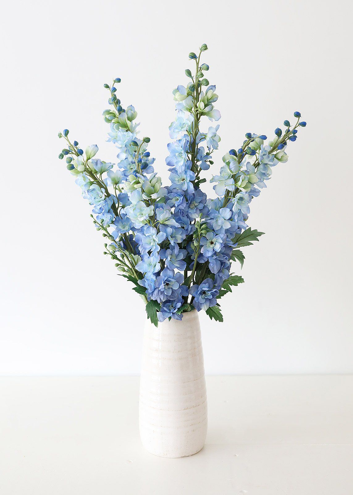 Delphinium