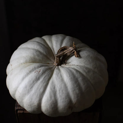 Ornamental  pumpkin