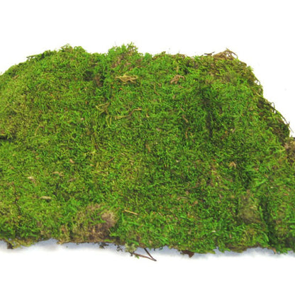 Moss